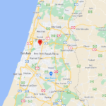 שירות וטרינר תורן שירות וטרינר תורן